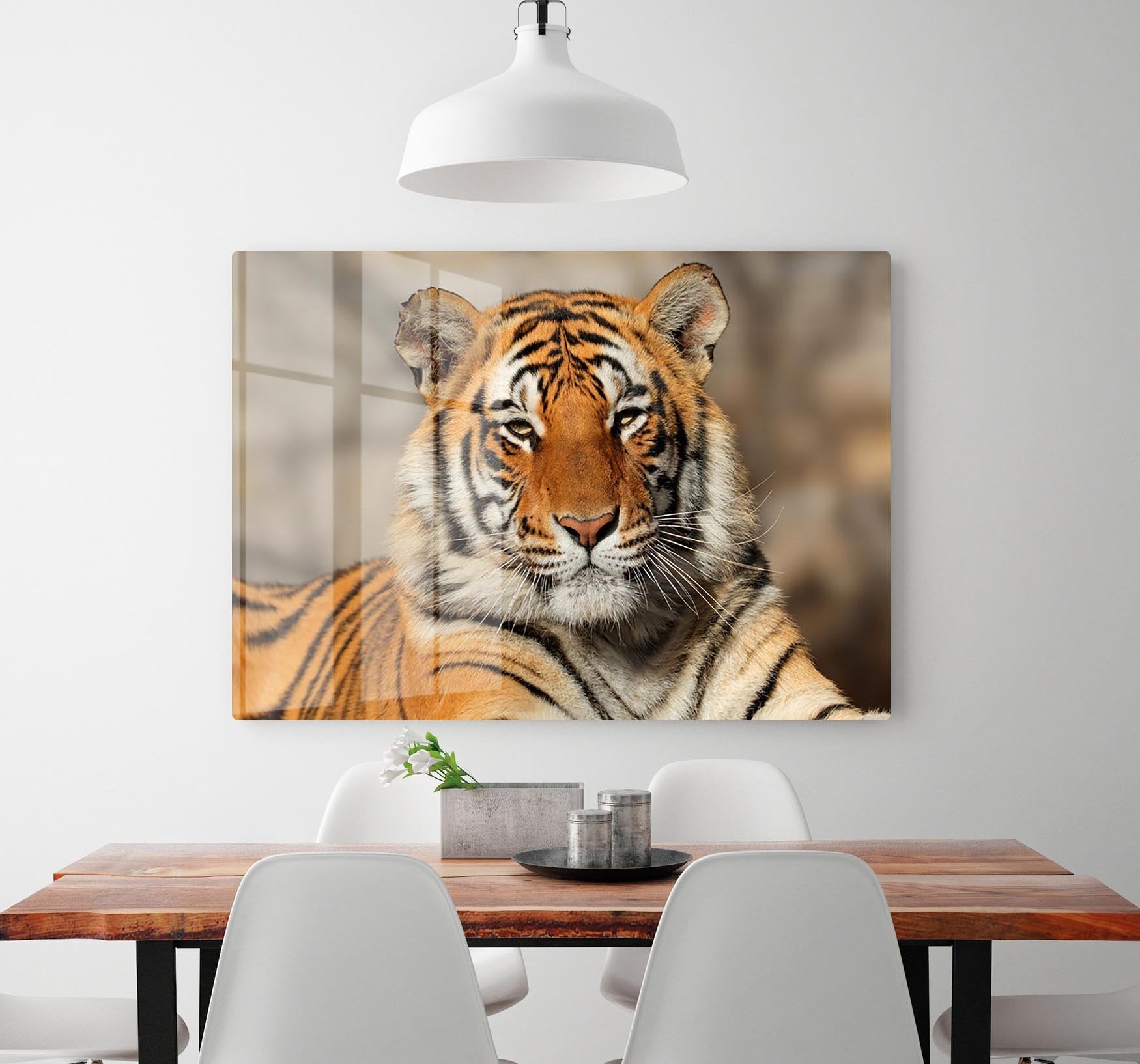 Portrait of a Bengal tiger HD Metal Print - Canvas Art Rocks - 2