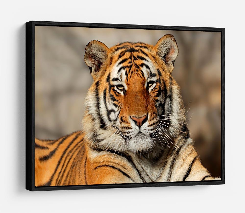 Portrait of a Bengal tiger HD Metal Print - Canvas Art Rocks - 6