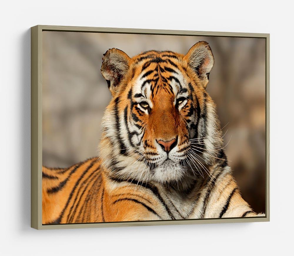 Portrait of a Bengal tiger HD Metal Print - Canvas Art Rocks - 8