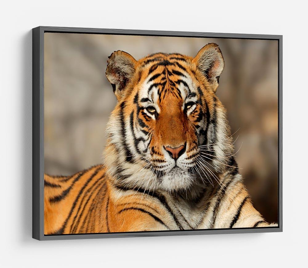 Portrait of a Bengal tiger HD Metal Print - Canvas Art Rocks - 9