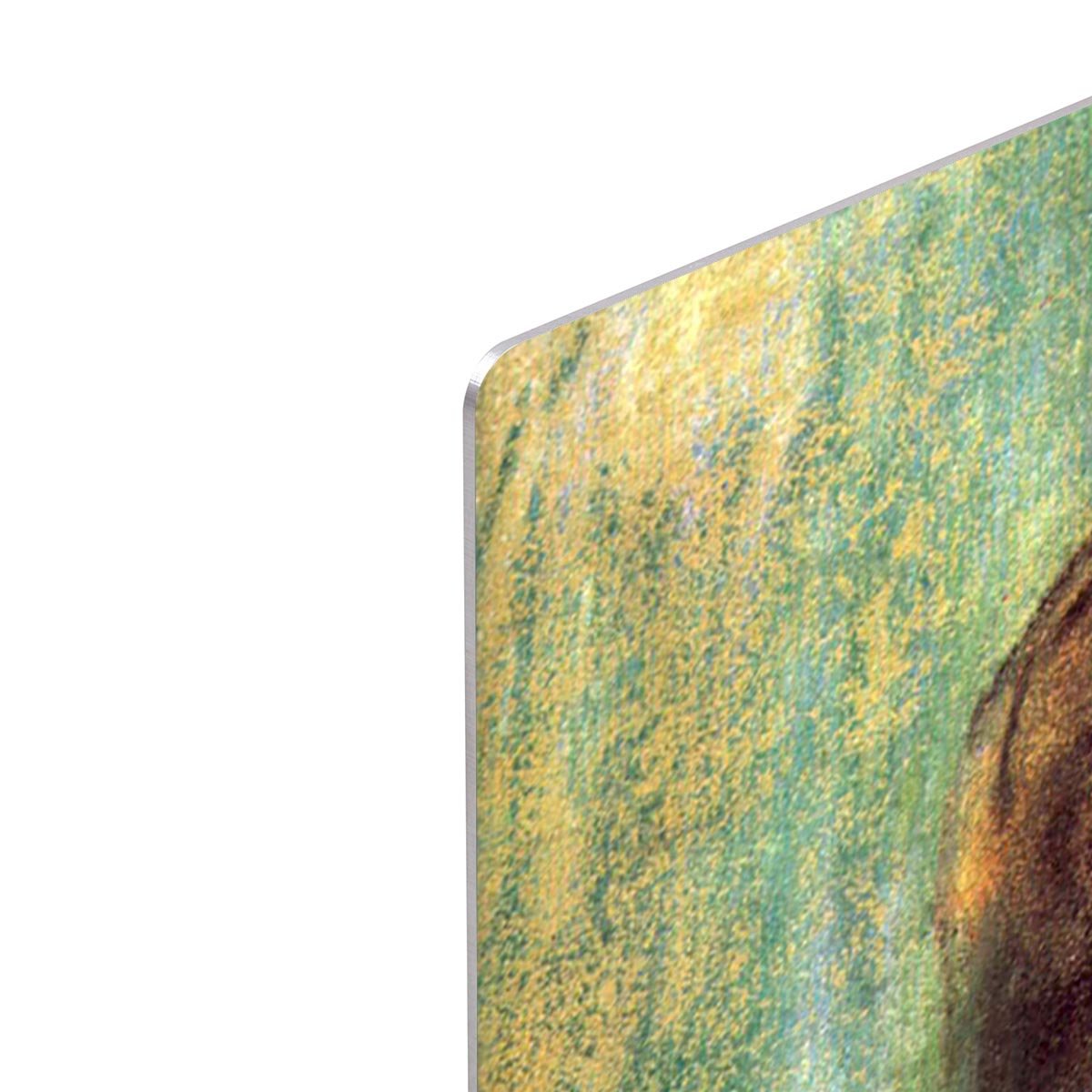 Portrait of a Lady by Degas HD Metal Print - Canvas Art Rocks - 4