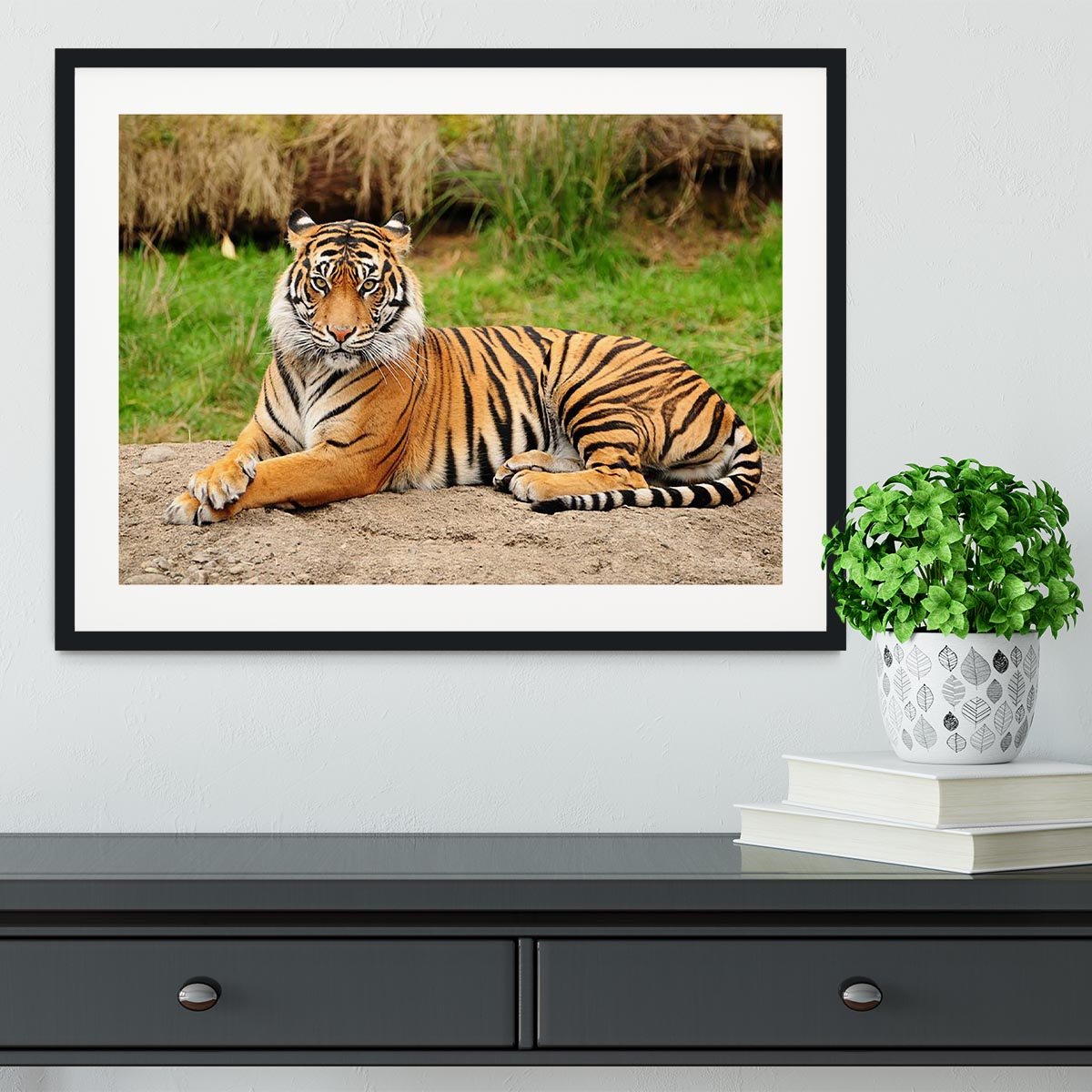 Portrait of a Royal Bengal tiger alert Framed Print - Canvas Art Rocks - 1