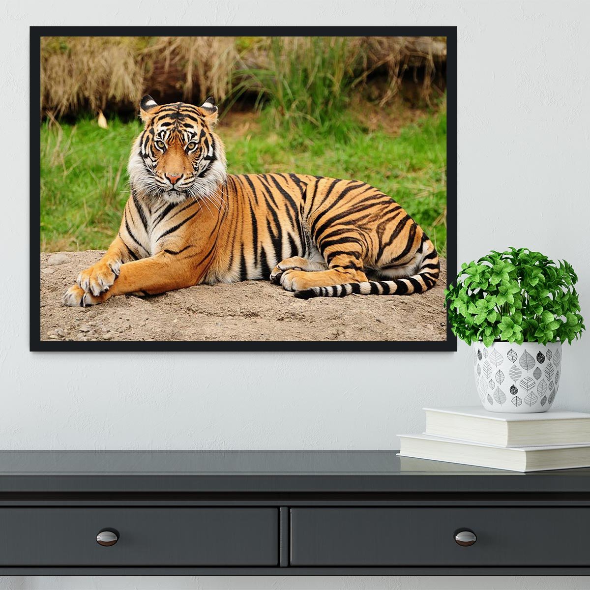 Portrait of a Royal Bengal tiger alert Framed Print - Canvas Art Rocks - 2