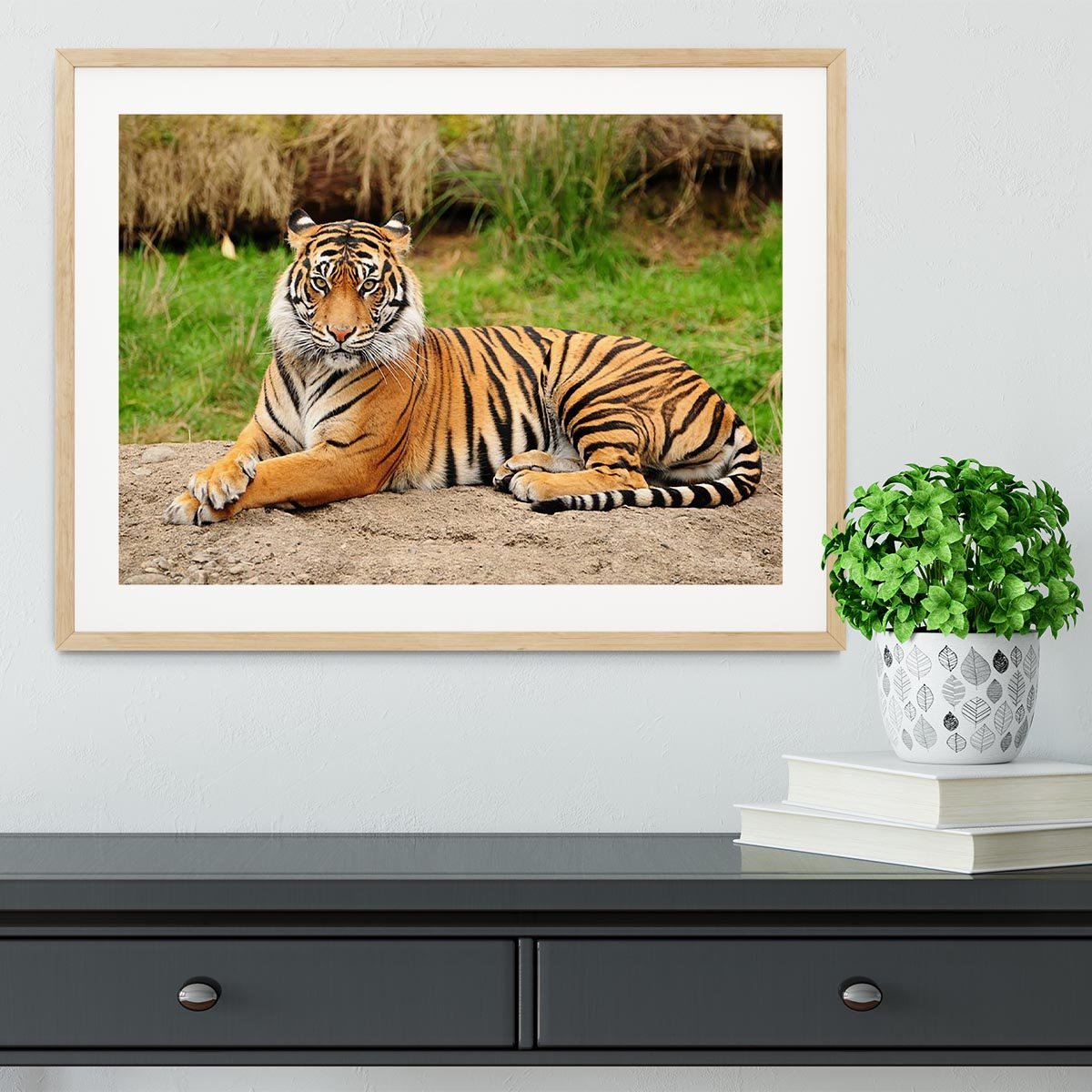 Portrait of a Royal Bengal tiger alert Framed Print - Canvas Art Rocks - 3
