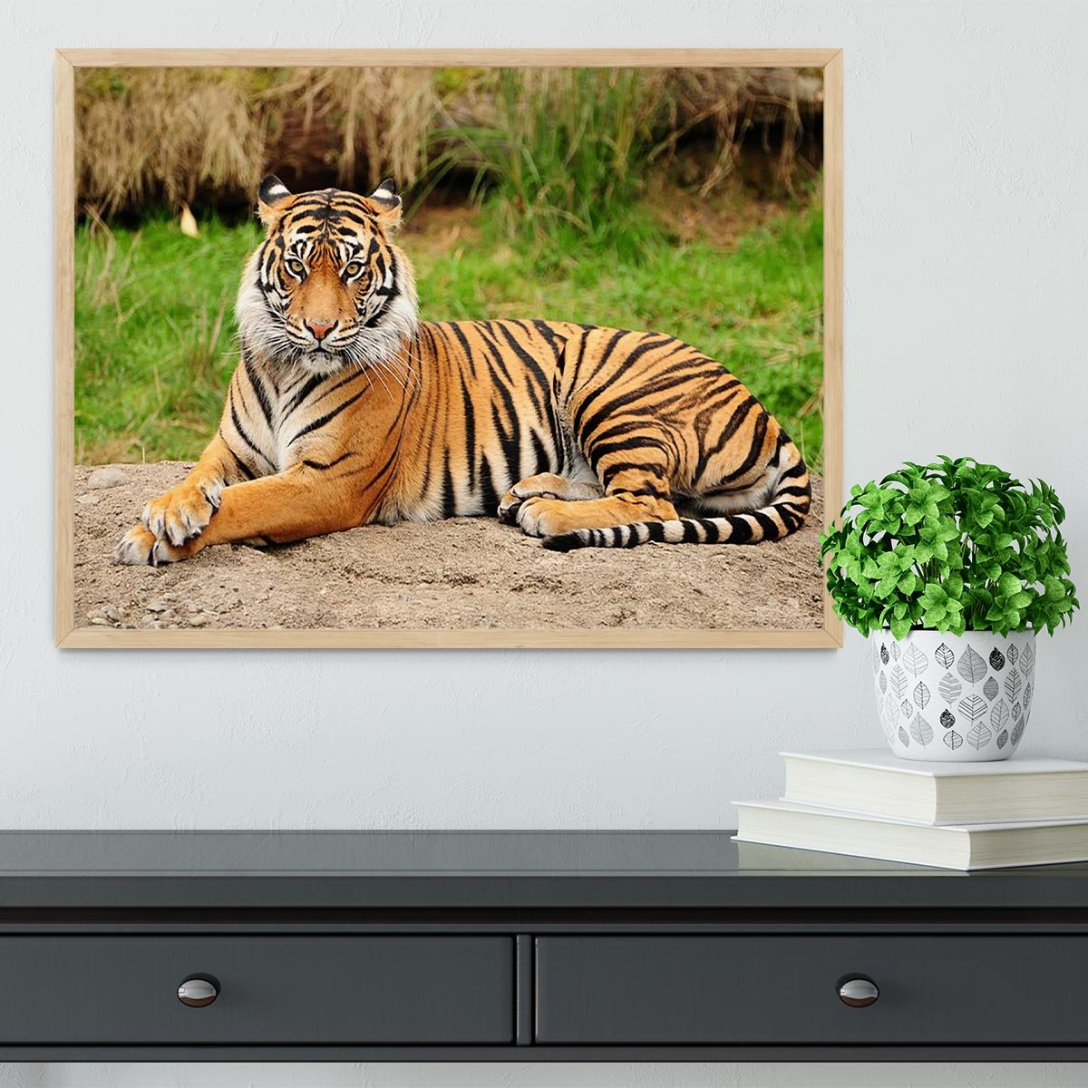 Portrait of a Royal Bengal tiger alert Framed Print - Canvas Art Rocks - 4