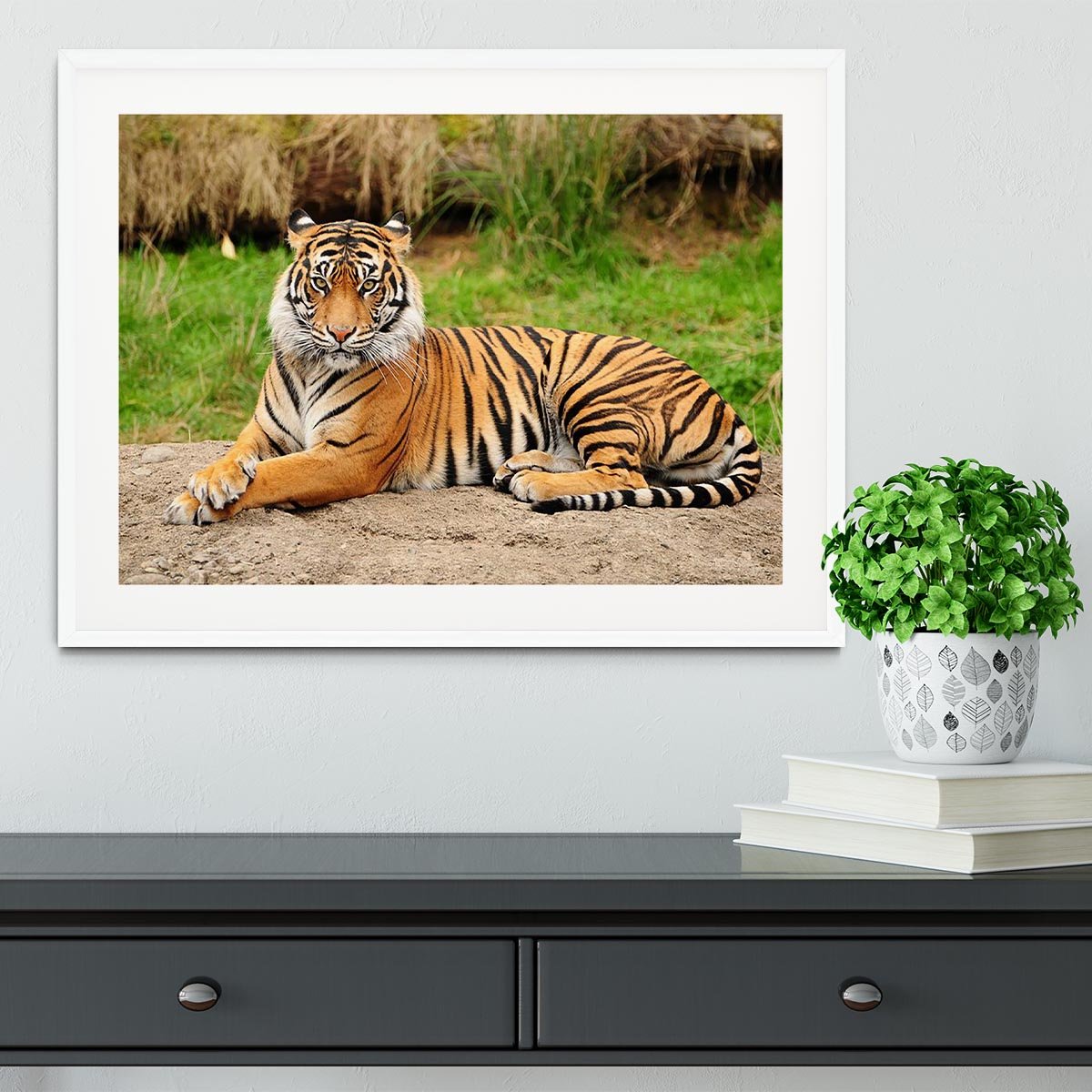 Portrait of a Royal Bengal tiger alert Framed Print - Canvas Art Rocks - 5