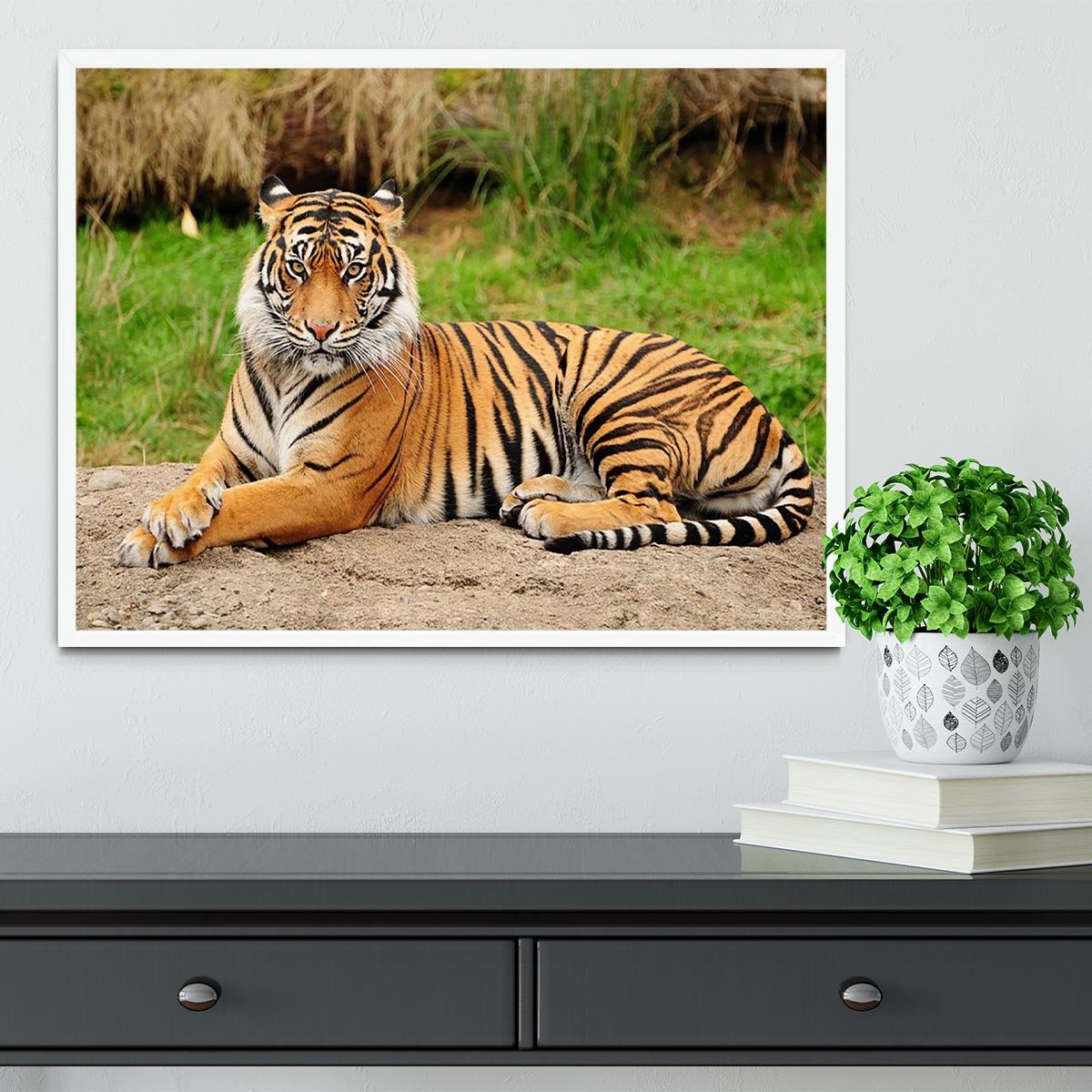 Portrait of a Royal Bengal tiger alert Framed Print - Canvas Art Rocks -6