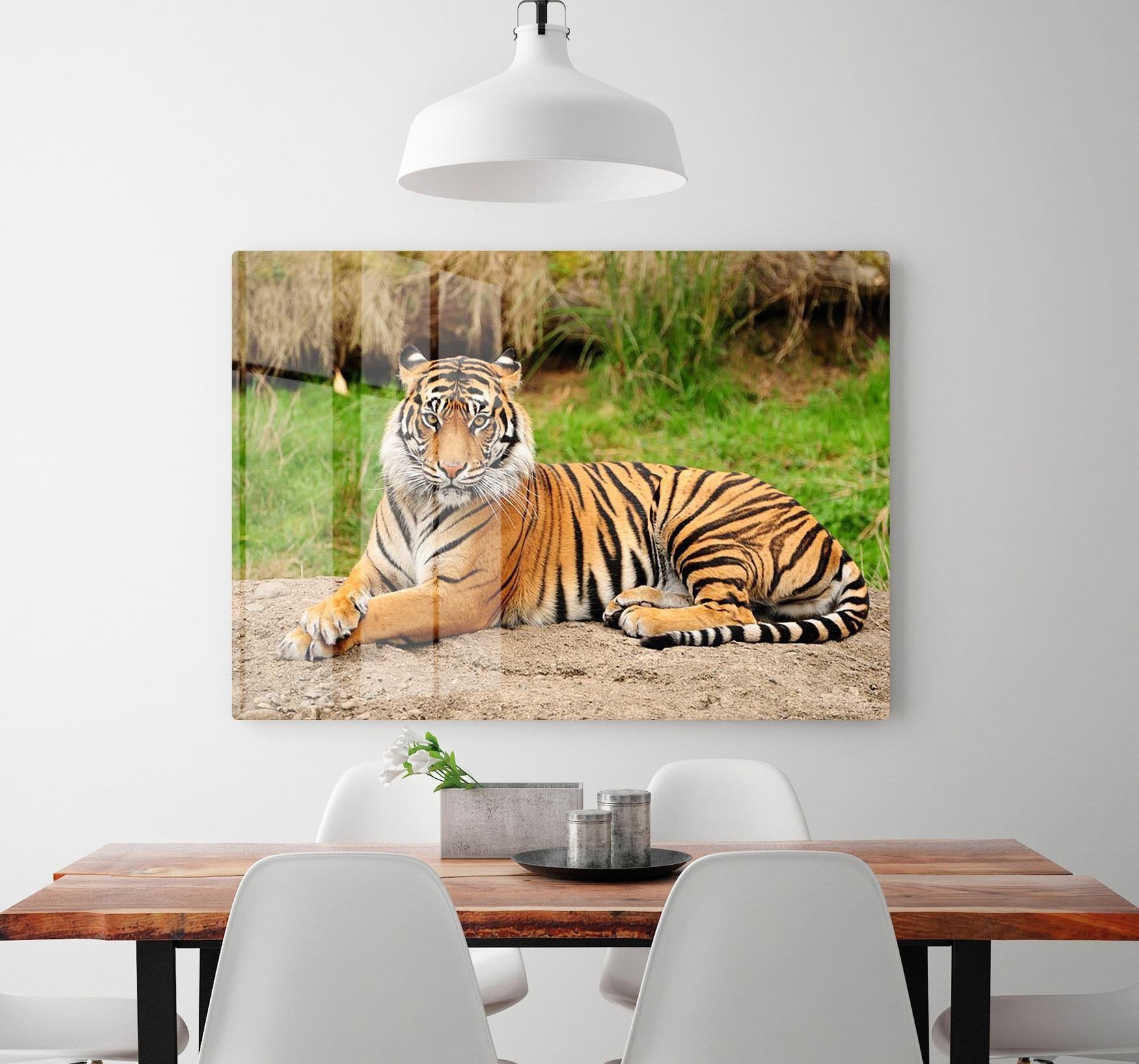 Portrait of a Royal Bengal tiger alert HD Metal Print - Canvas Art Rocks - 2