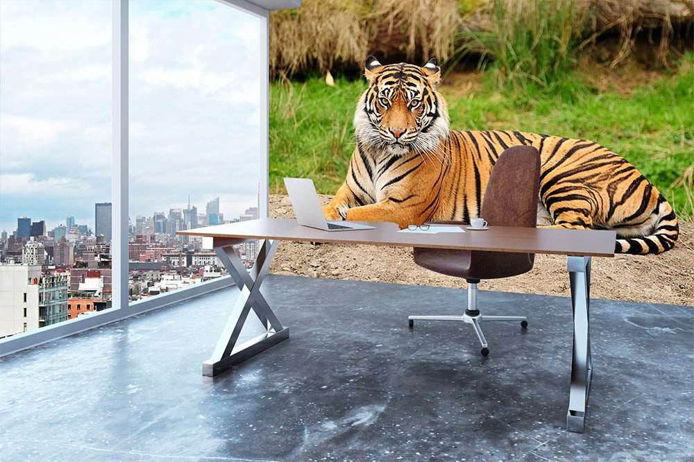 Portrait of a Royal Bengal tiger alert Wall Mural Wallpaper - Canvas Art Rocks - 3