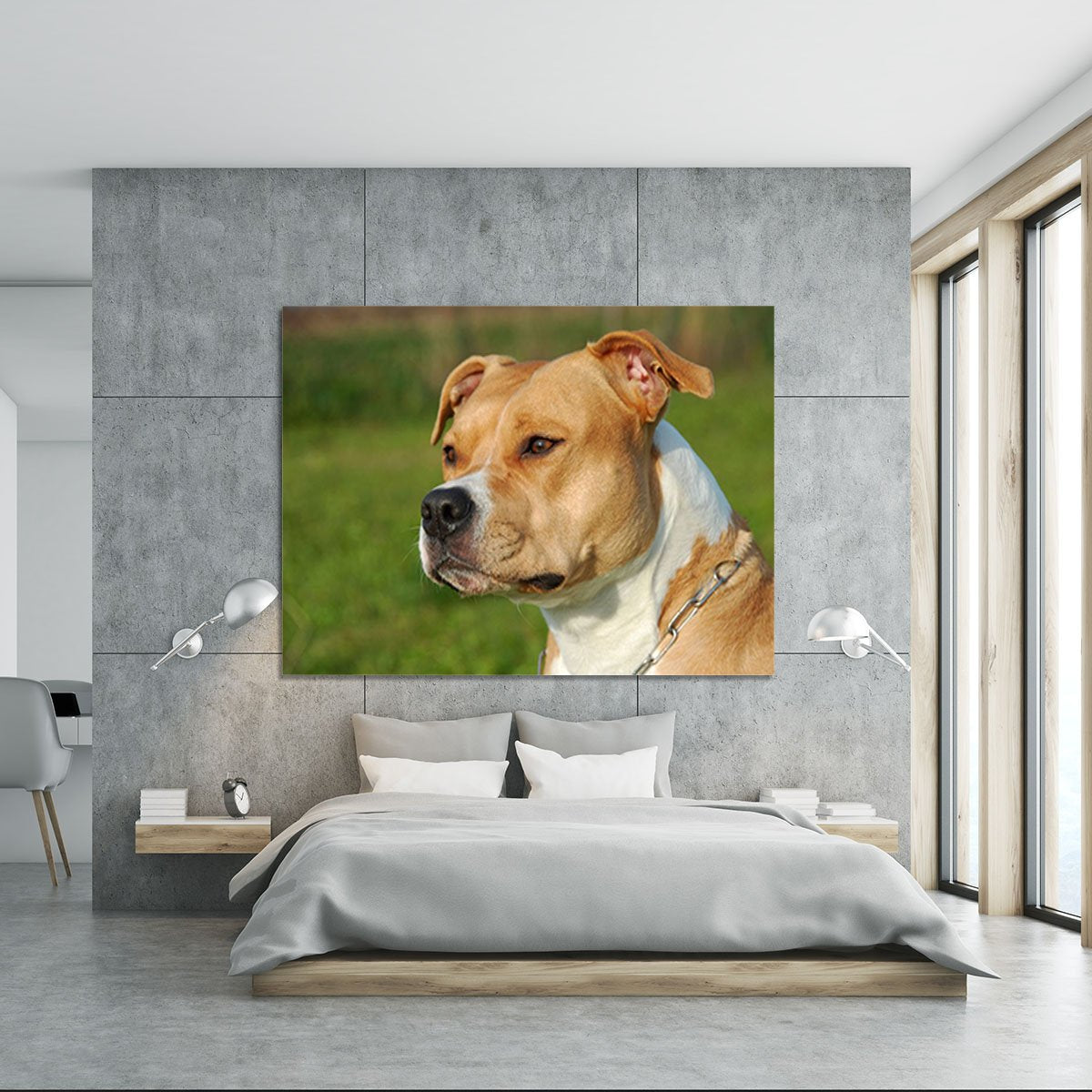 Portrait of a beautiful female purebred American Staffordshire Terrier Canvas Print or Poster