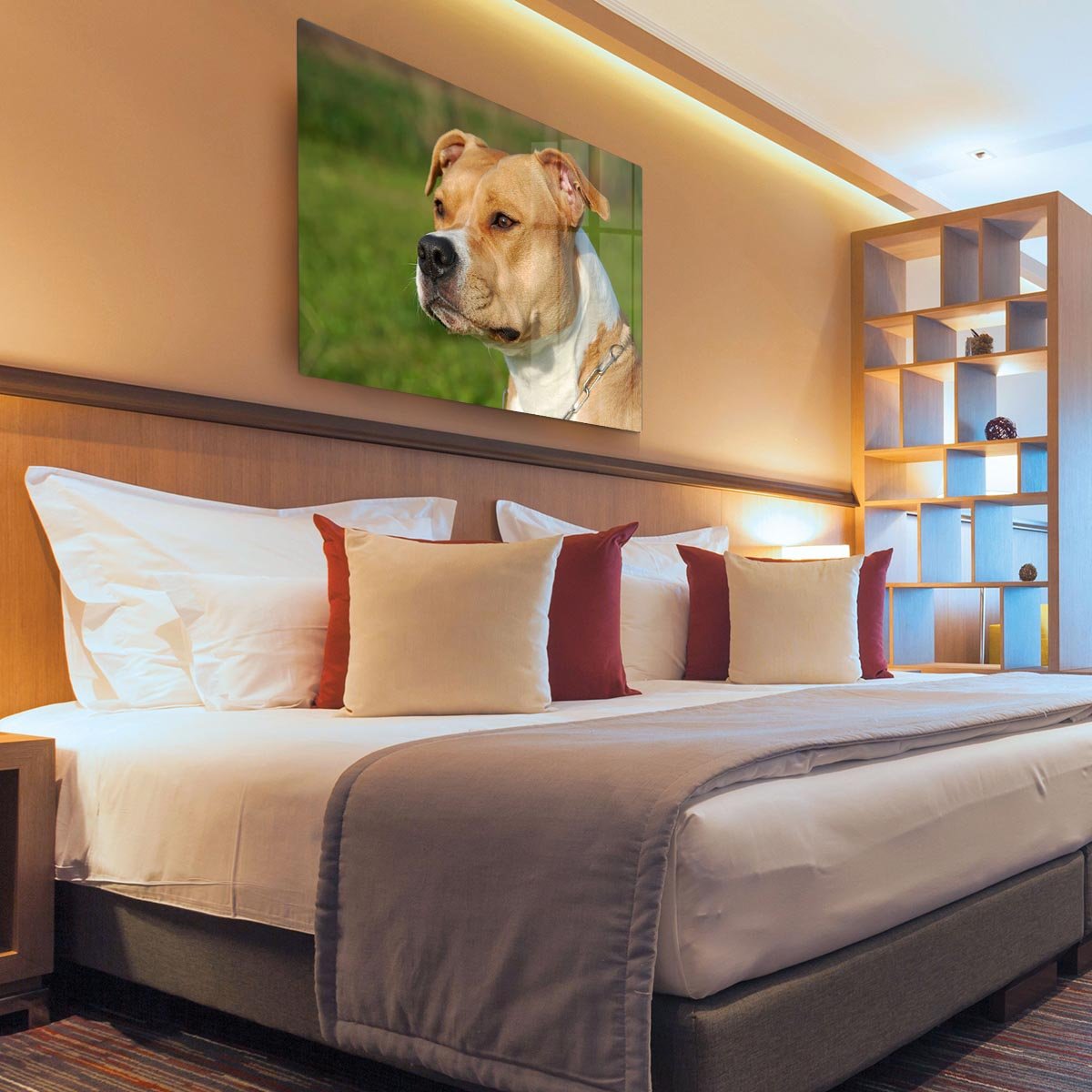 Portrait of a beautiful female purebred American Staffordshire Terrier HD Metal Print - Canvas Art Rocks - 3
