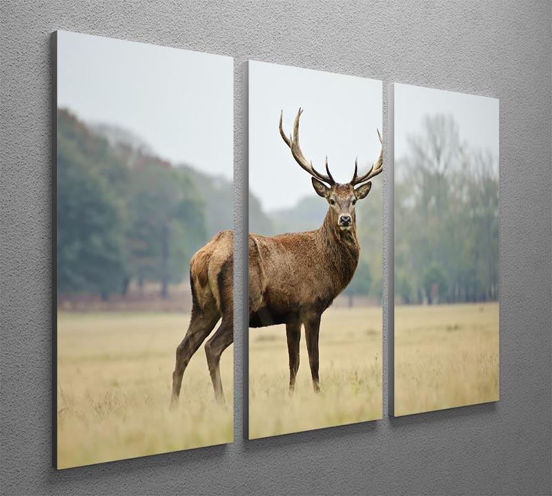 Portrait of adult red deer stag in field 3 Split Panel Canvas Print - Canvas Art Rocks - 2