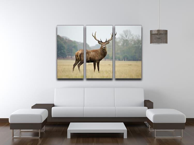 Portrait of adult red deer stag in field 3 Split Panel Canvas Print - Canvas Art Rocks - 3