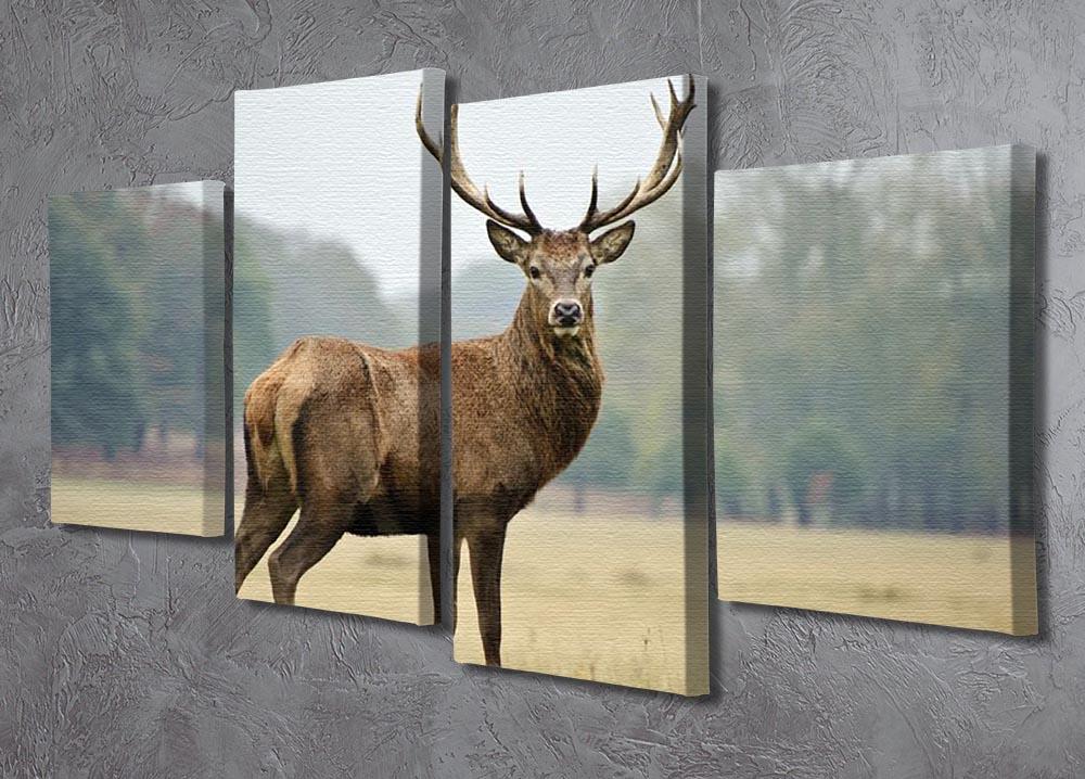 Portrait of adult red deer stag in field 4 Split Panel Canvas - Canvas Art Rocks - 2