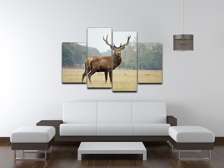 Portrait of adult red deer stag in field 4 Split Panel Canvas - Canvas Art Rocks - 3