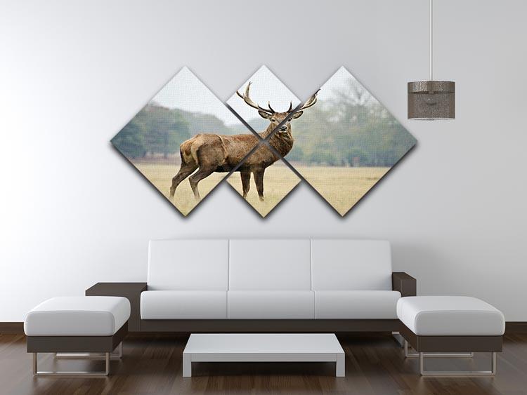 Portrait of adult red deer stag in field 4 Square Multi Panel Canvas - Canvas Art Rocks - 3