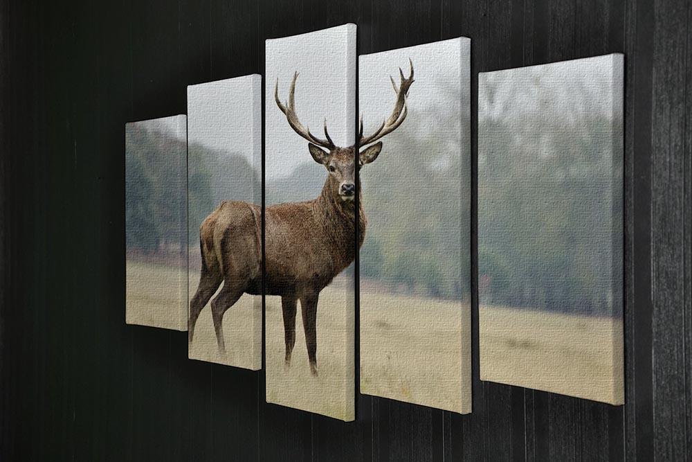 Portrait of adult red deer stag in field 5 Split Panel Canvas - Canvas Art Rocks - 2