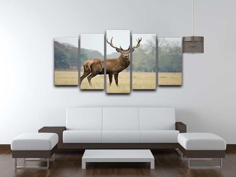 Portrait of adult red deer stag in field 5 Split Panel Canvas - Canvas Art Rocks - 3