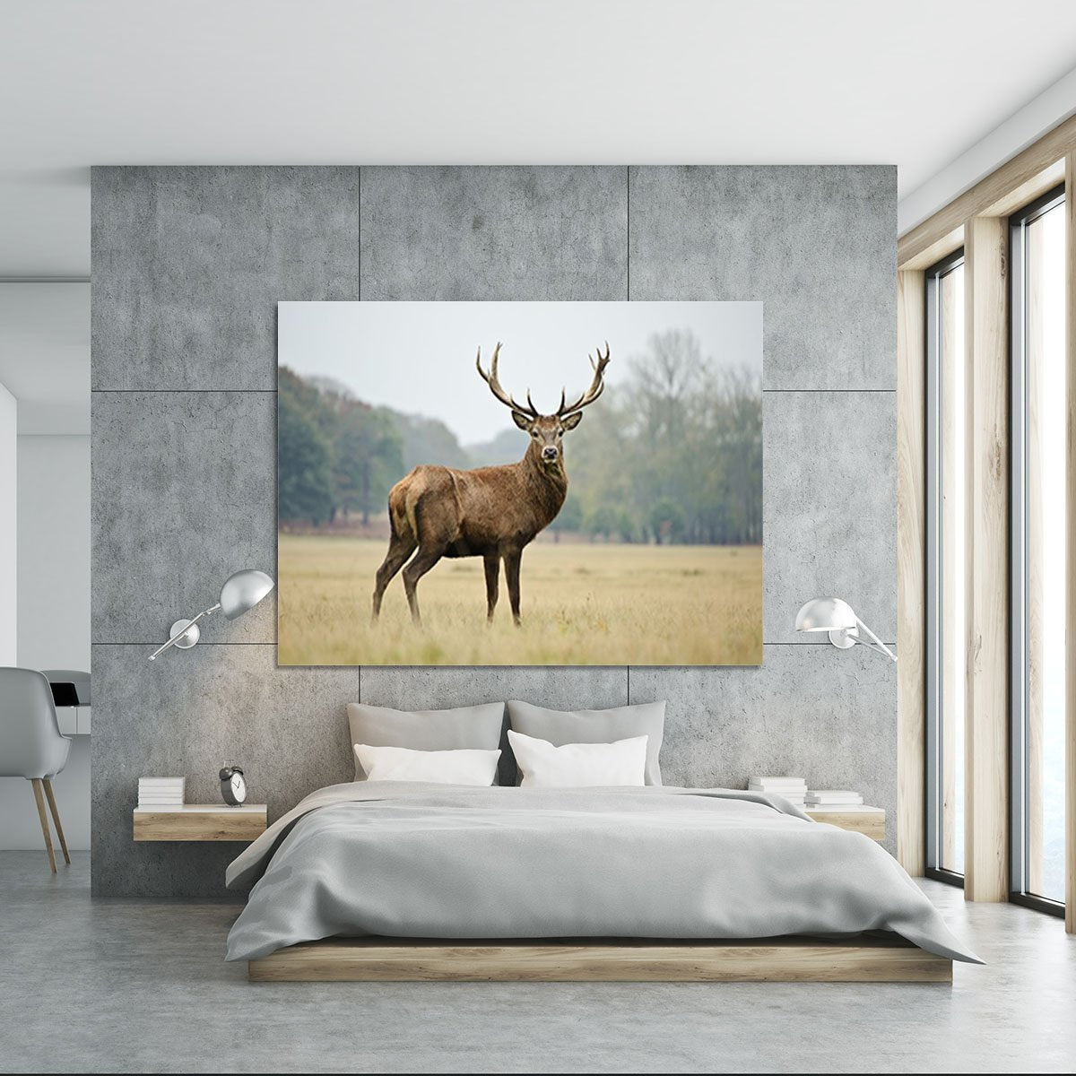 Portrait of adult red deer stag in field Canvas Print or Poster