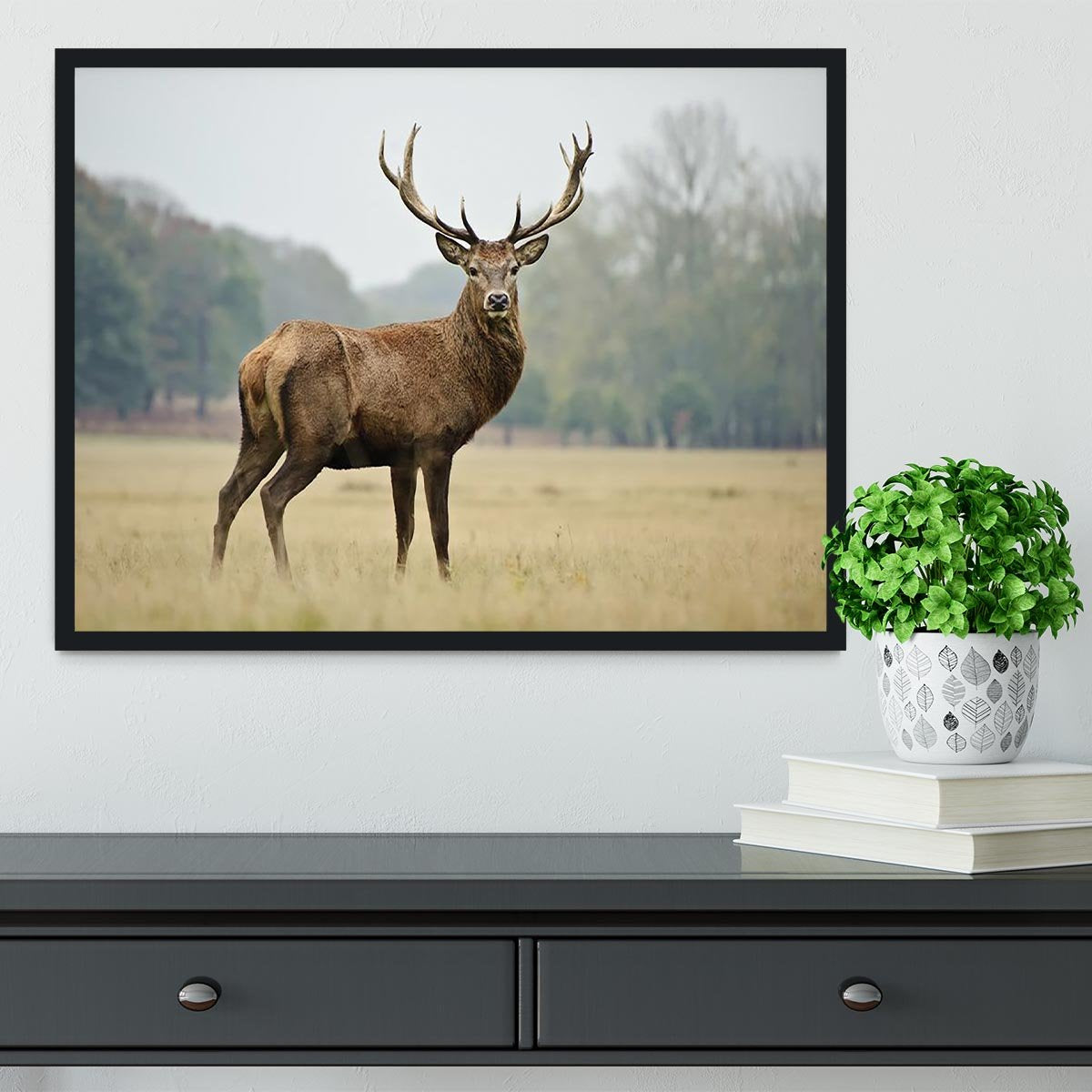 Portrait of adult red deer stag in field Framed Print - Canvas Art Rocks - 2