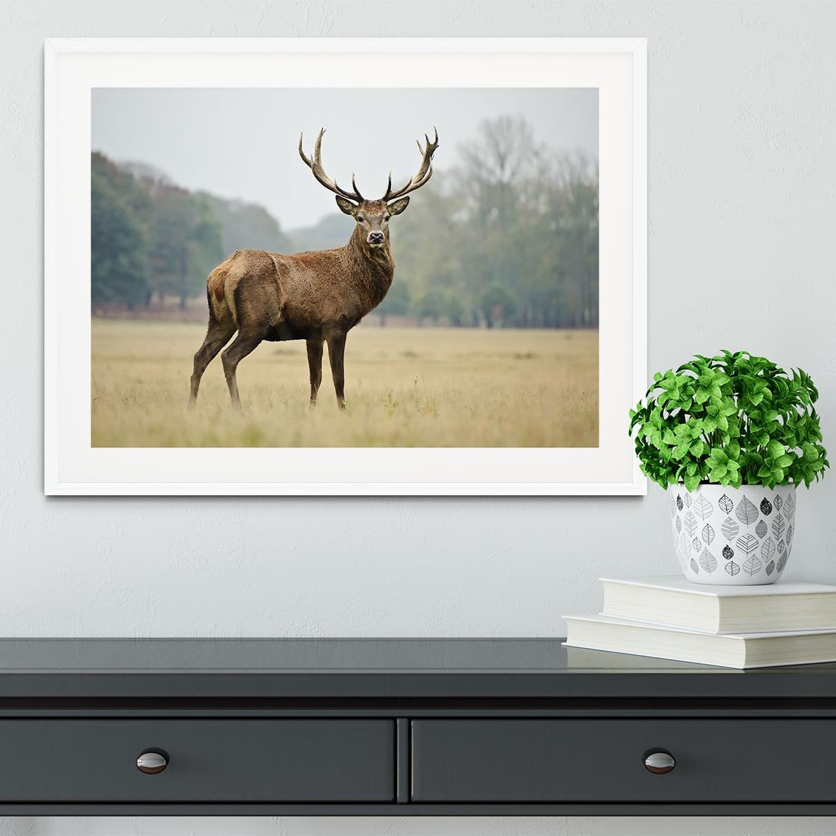 Portrait of adult red deer stag in field Framed Print - Canvas Art Rocks - 5