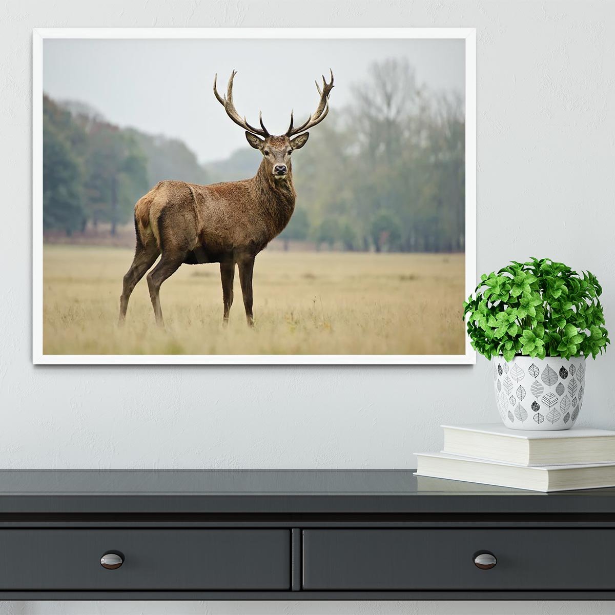 Portrait of adult red deer stag in field Framed Print - Canvas Art Rocks -6