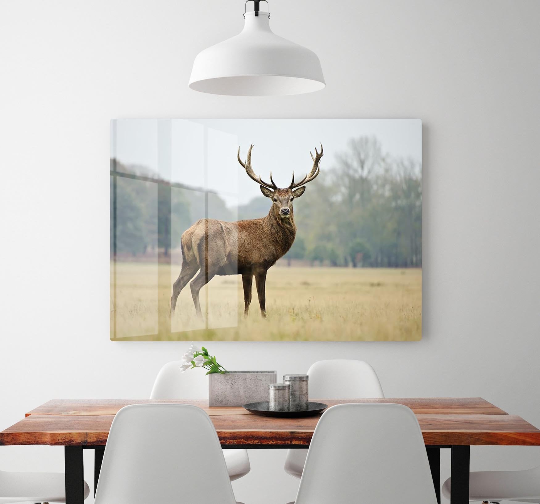 Portrait of adult red deer stag in field HD Metal Print - Canvas Art Rocks - 2
