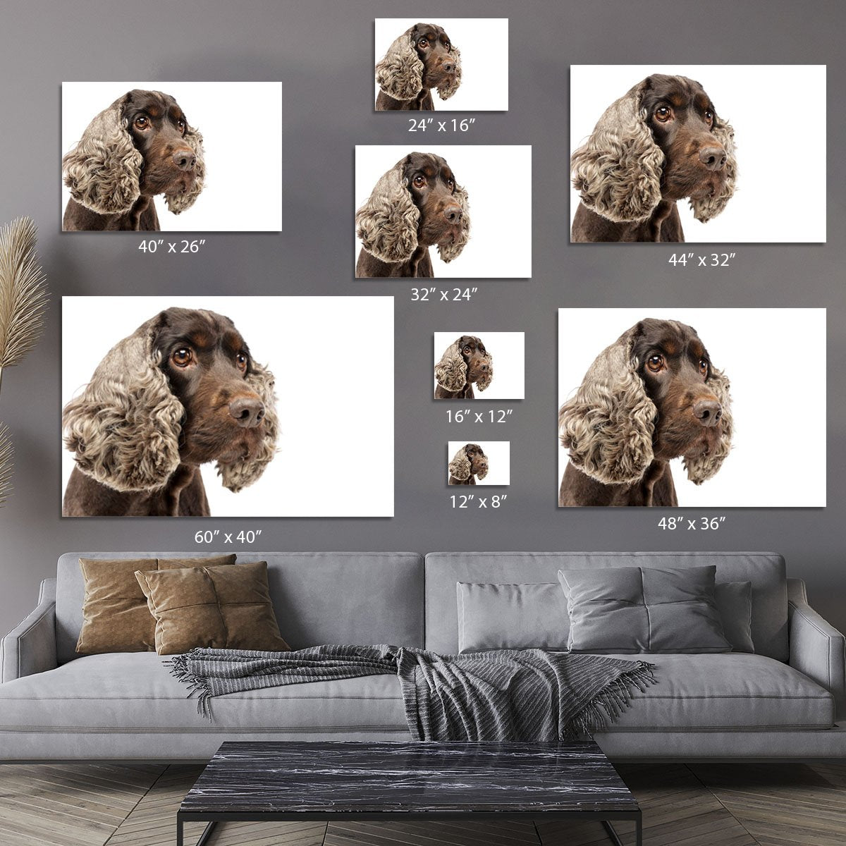 Portrait of an adorable English Cocker Spaniel Canvas Print or Poster