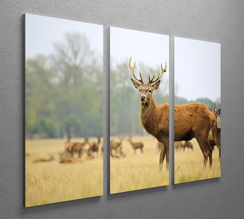 Portrait of majestic powerful adult red deer stag 3 Split Panel Canvas Print - Canvas Art Rocks - 2