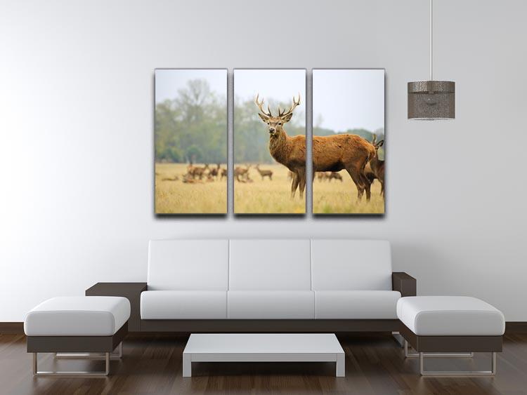 Portrait of majestic powerful adult red deer stag 3 Split Panel Canvas Print - Canvas Art Rocks - 3