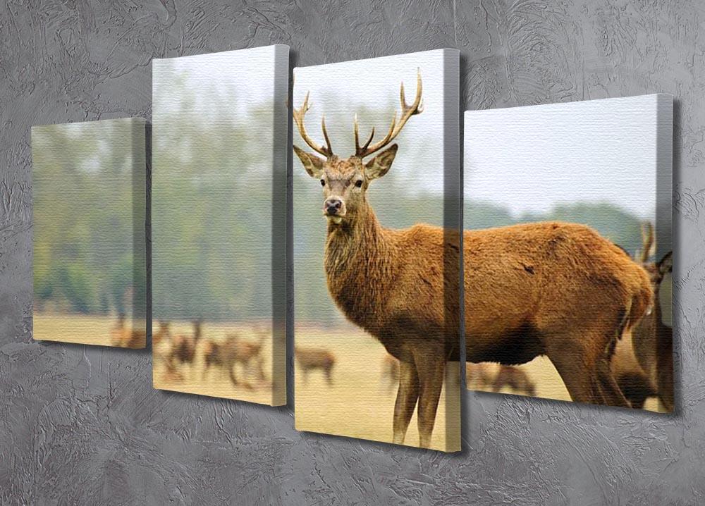 Portrait of majestic powerful adult red deer stag 4 Split Panel Canvas - Canvas Art Rocks - 2