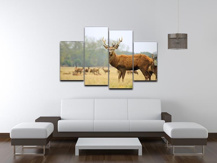 Portrait of majestic powerful adult red deer stag 4 Split Panel Canvas - Canvas Art Rocks - 3