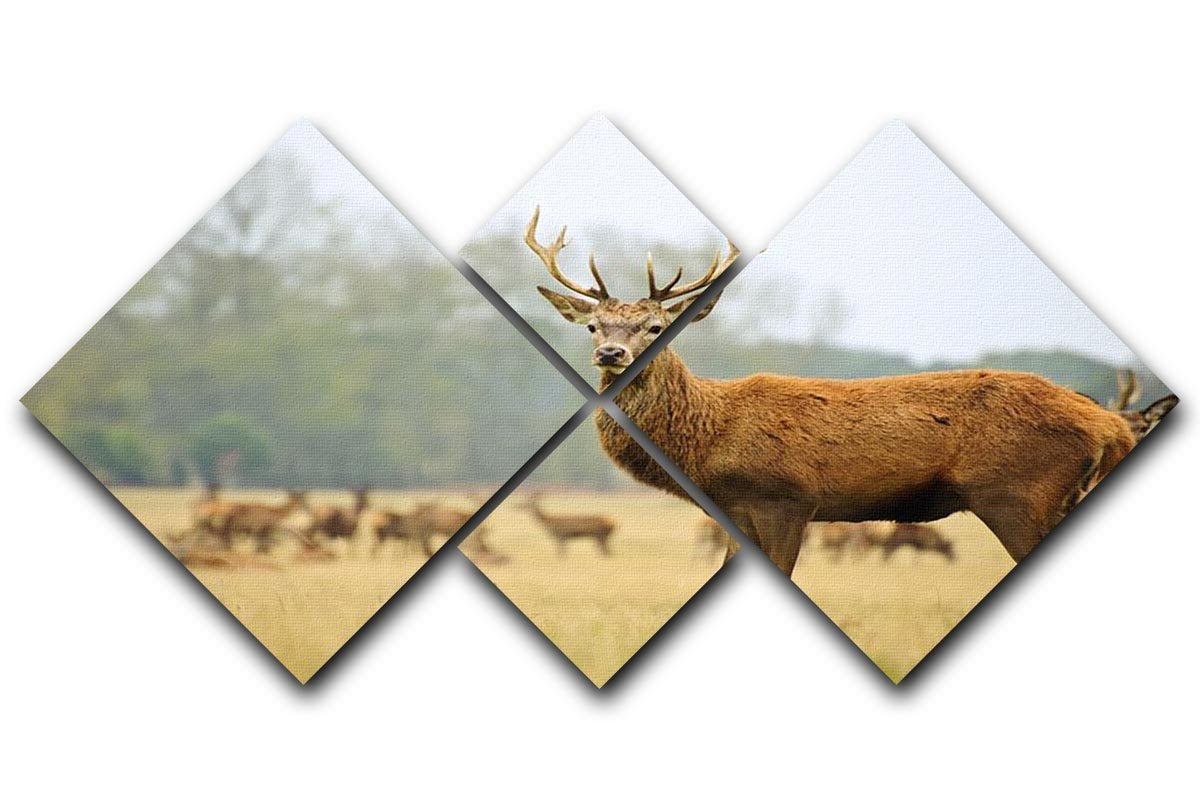 Portrait of majestic powerful adult red deer stag 4 Square Multi Panel Canvas - Canvas Art Rocks - 1