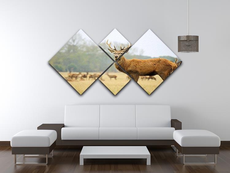 Portrait of majestic powerful adult red deer stag 4 Square Multi Panel Canvas - Canvas Art Rocks - 3