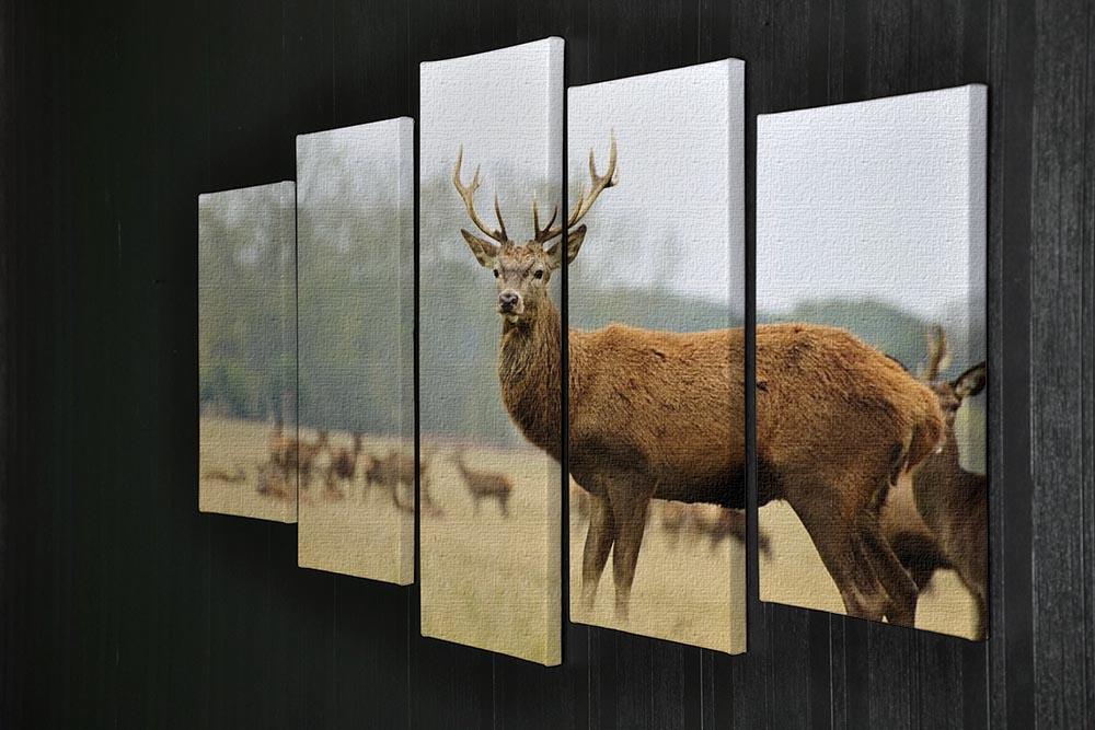 Portrait of majestic powerful adult red deer stag 5 Split Panel Canvas - Canvas Art Rocks - 2