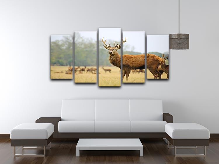 Portrait of majestic powerful adult red deer stag 5 Split Panel Canvas - Canvas Art Rocks - 3