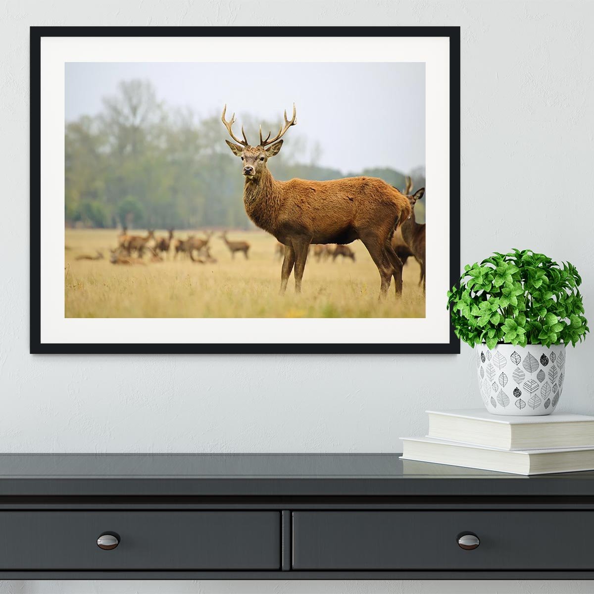 Portrait of majestic powerful adult red deer stag Framed Print - Canvas Art Rocks - 1