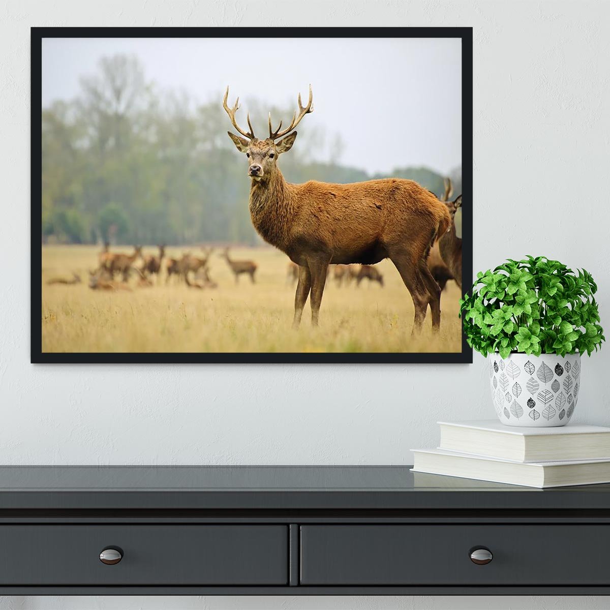 Portrait of majestic powerful adult red deer stag Framed Print - Canvas Art Rocks - 2