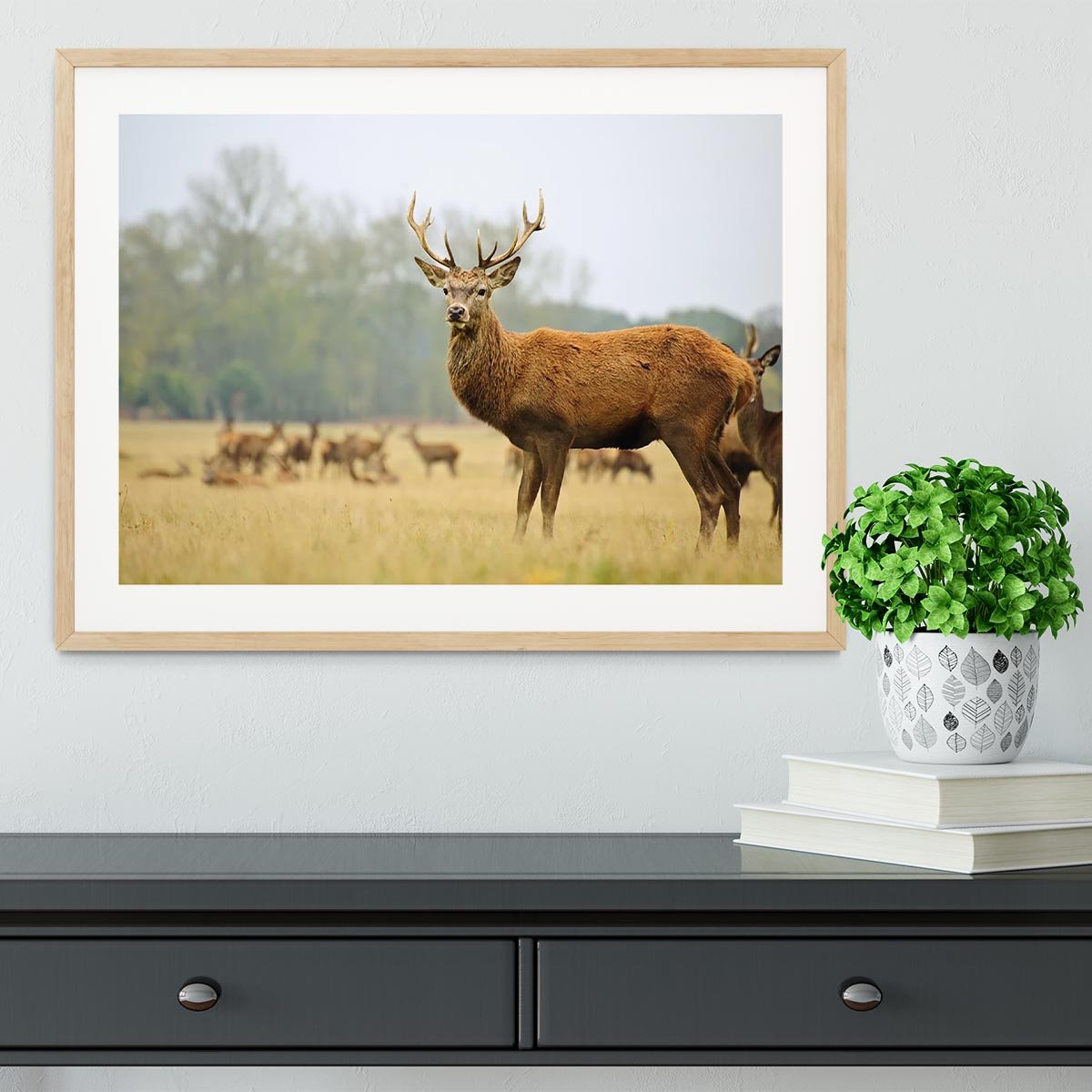 Portrait of majestic powerful adult red deer stag Framed Print - Canvas Art Rocks - 3