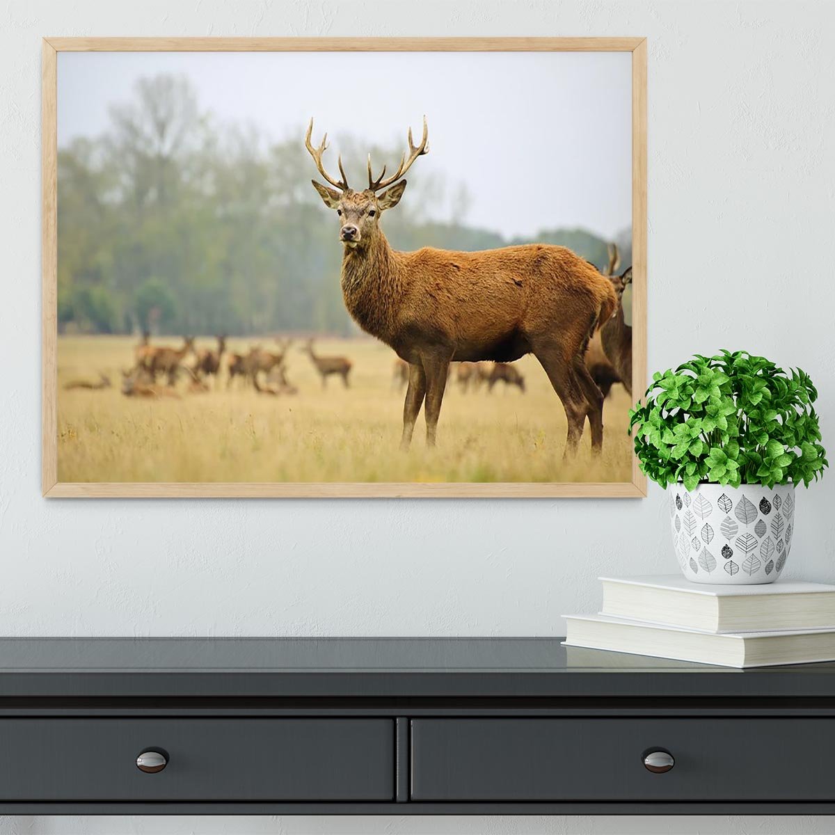 Portrait of majestic powerful adult red deer stag Framed Print - Canvas Art Rocks - 4