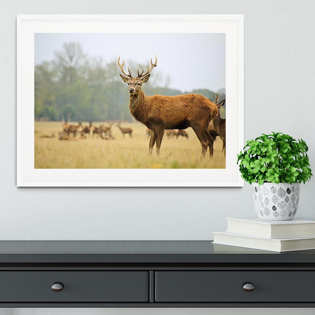 Portrait of majestic powerful adult red deer stag Framed Print - Canvas Art Rocks - 5