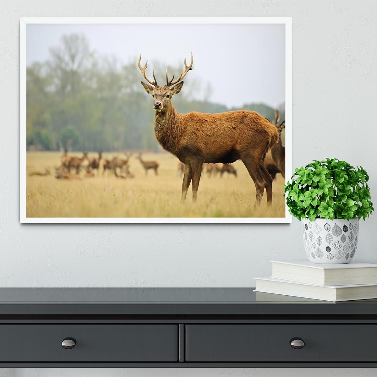 Portrait of majestic powerful adult red deer stag Framed Print - Canvas Art Rocks -6