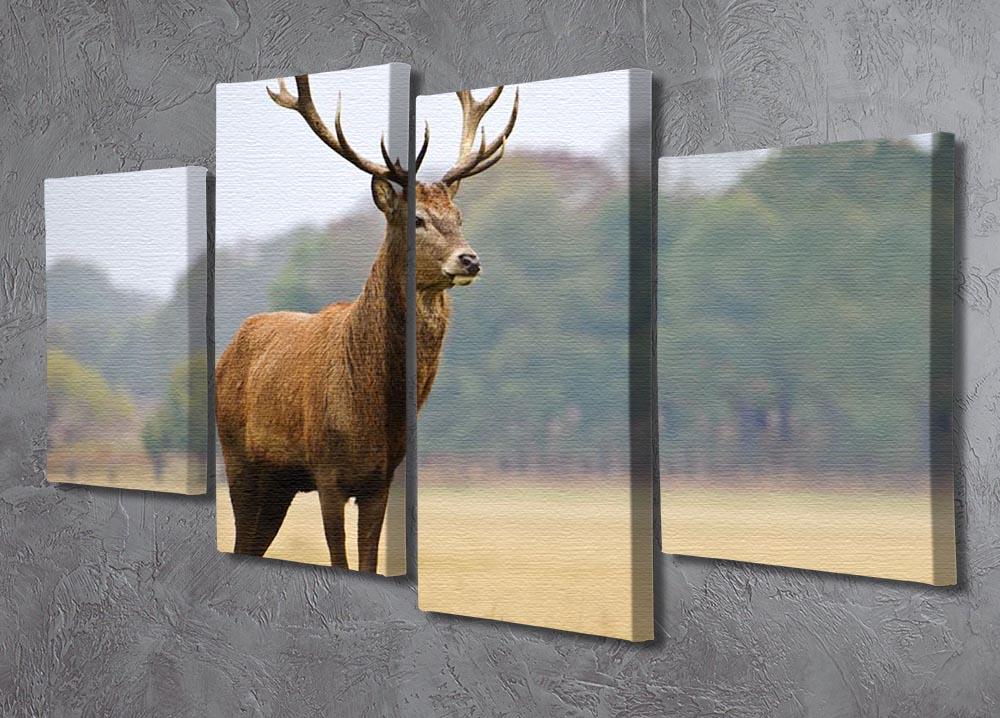 Portrait of majestic powerful adult red deer stag in Autumn Fall forest 4 Split Panel Canvas - Canvas Art Rocks - 2