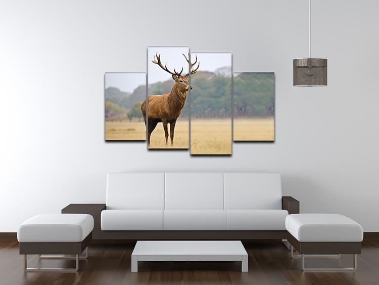Portrait of majestic powerful adult red deer stag in Autumn Fall forest 4 Split Panel Canvas - Canvas Art Rocks - 3