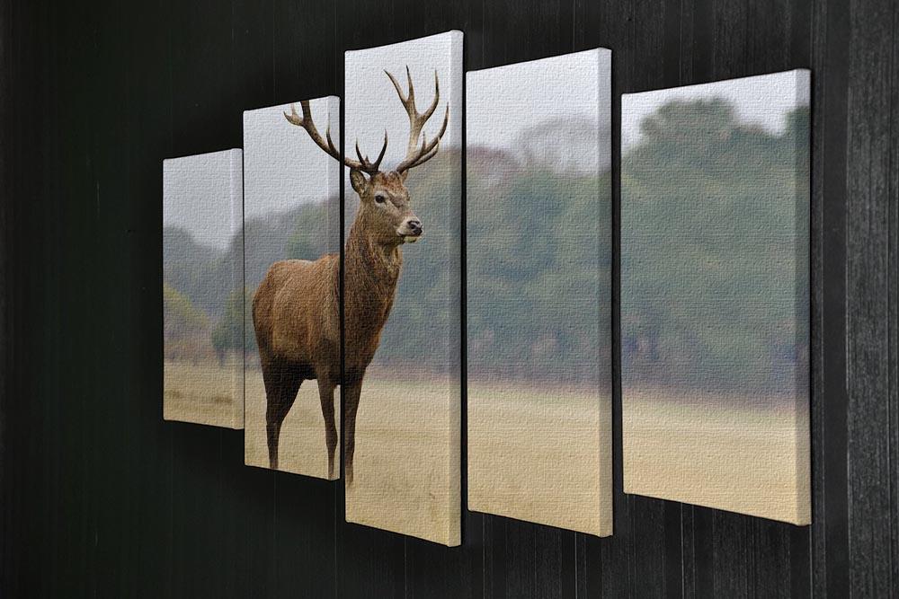 Portrait of majestic powerful adult red deer stag in Autumn Fall forest 5 Split Panel Canvas - Canvas Art Rocks - 2