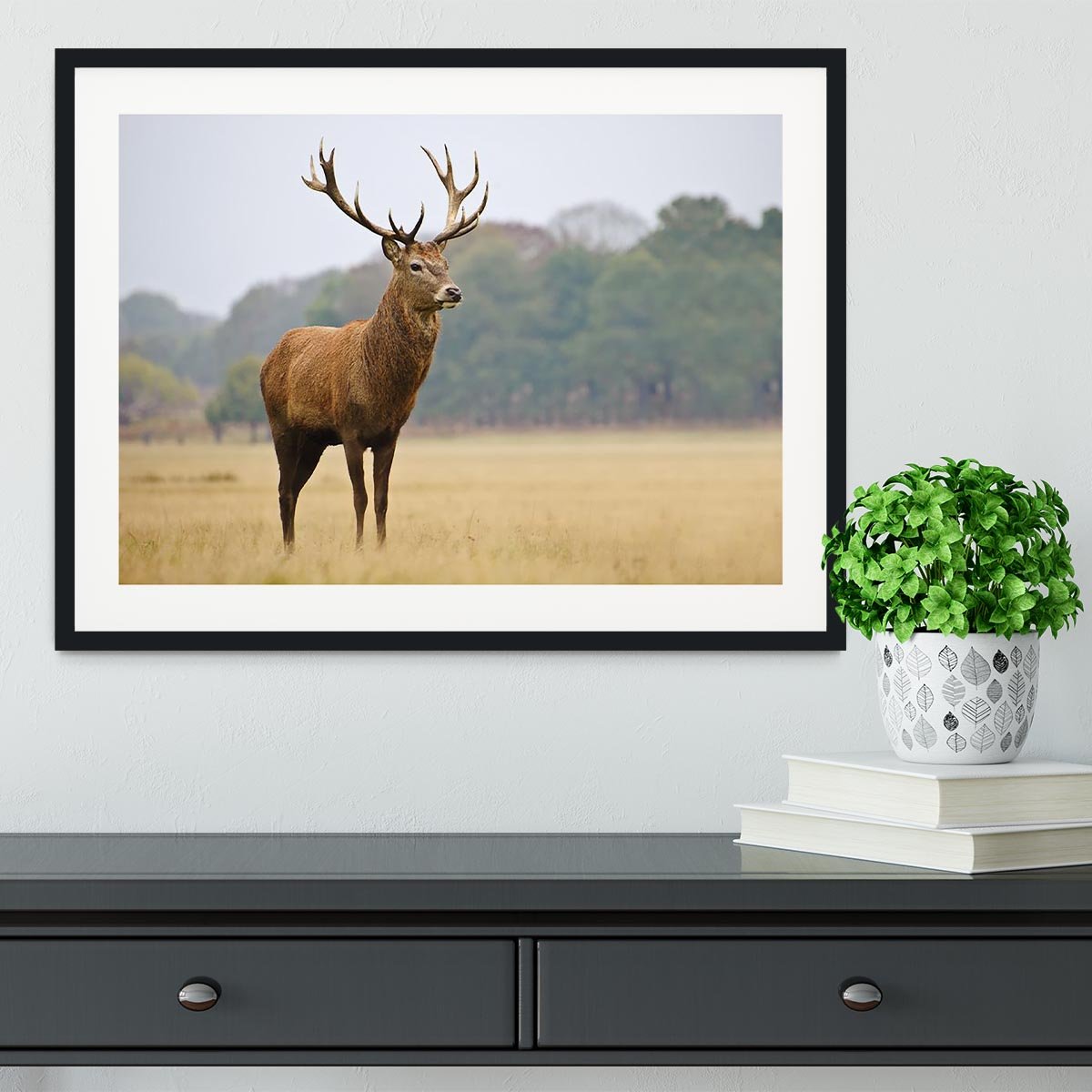 Portrait of majestic powerful adult red deer stag in Autumn Fall forest Framed Print - Canvas Art Rocks - 1