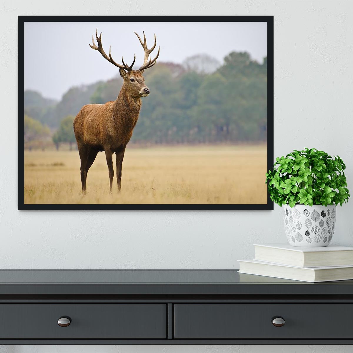 Portrait of majestic powerful adult red deer stag in Autumn Fall forest Framed Print - Canvas Art Rocks - 2
