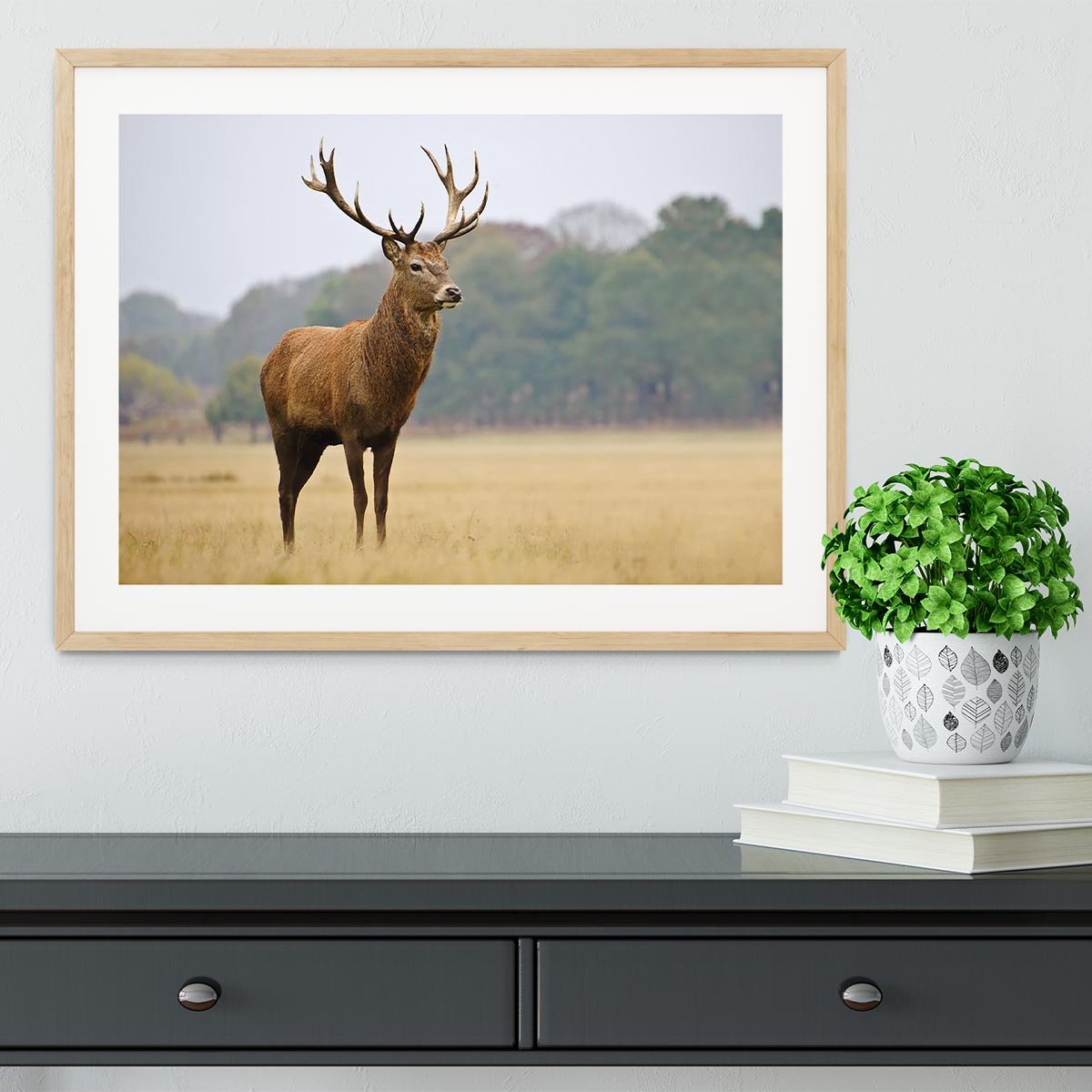 Portrait of majestic powerful adult red deer stag in Autumn Fall forest Framed Print - Canvas Art Rocks - 3