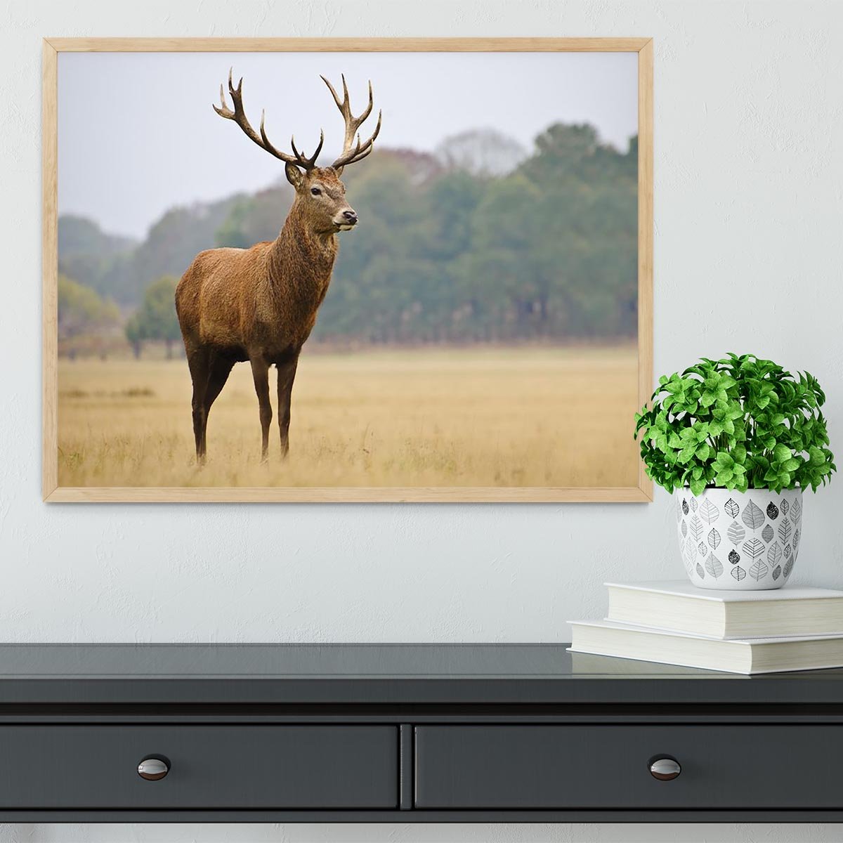 Portrait of majestic powerful adult red deer stag in Autumn Fall forest Framed Print - Canvas Art Rocks - 4