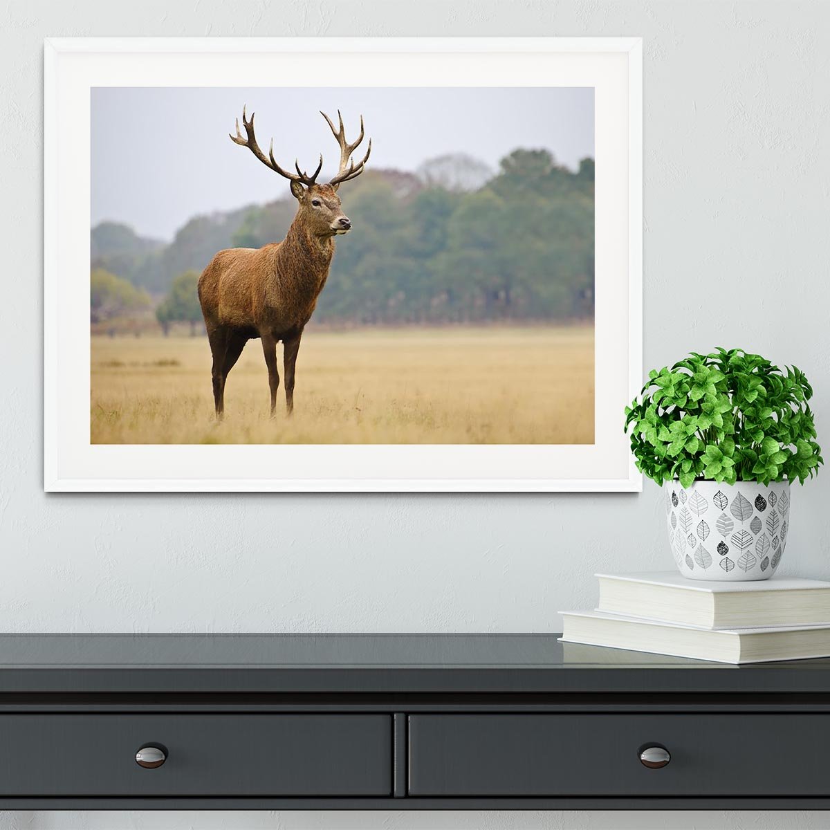 Portrait of majestic powerful adult red deer stag in Autumn Fall forest Framed Print - Canvas Art Rocks - 5